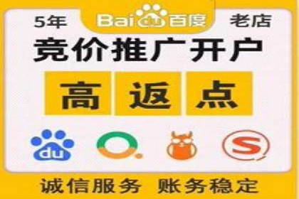 某电商平台的SEM广告投放全流程解析